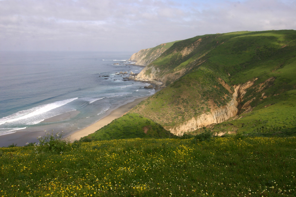 Pt Reyes Seashore coastline beach Marin County Golden Gate Conservation