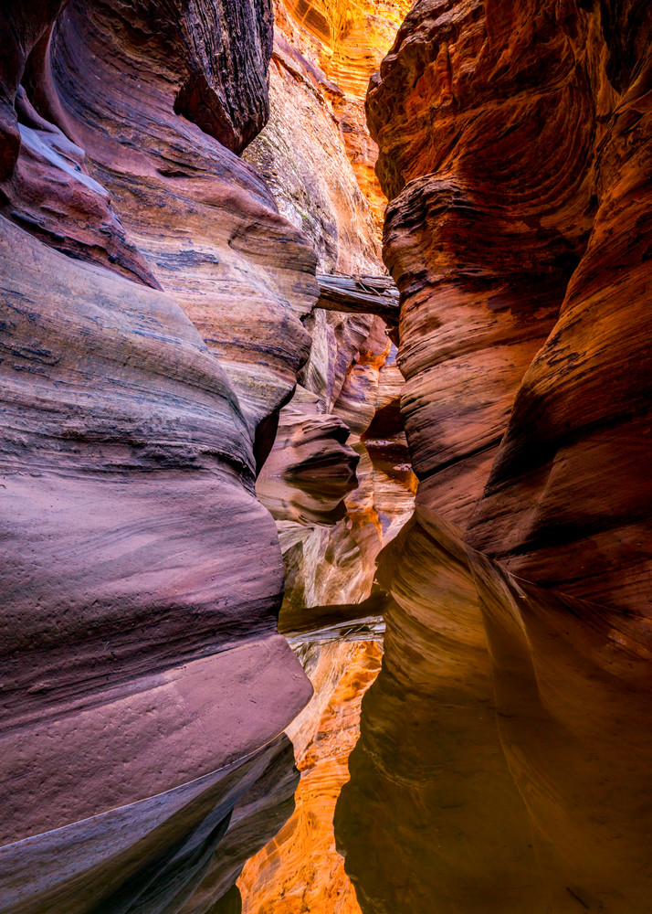 Zion canyon - center | Nature Photography | Thomas Watkins Fine Art Photography
