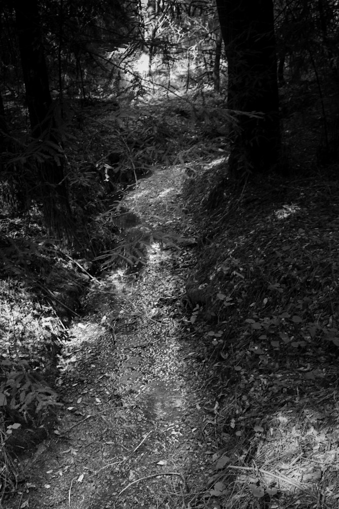 Running Low Photography Art | Ron Olcott Photography Running Low Photography Art | Ron Olcott Photography