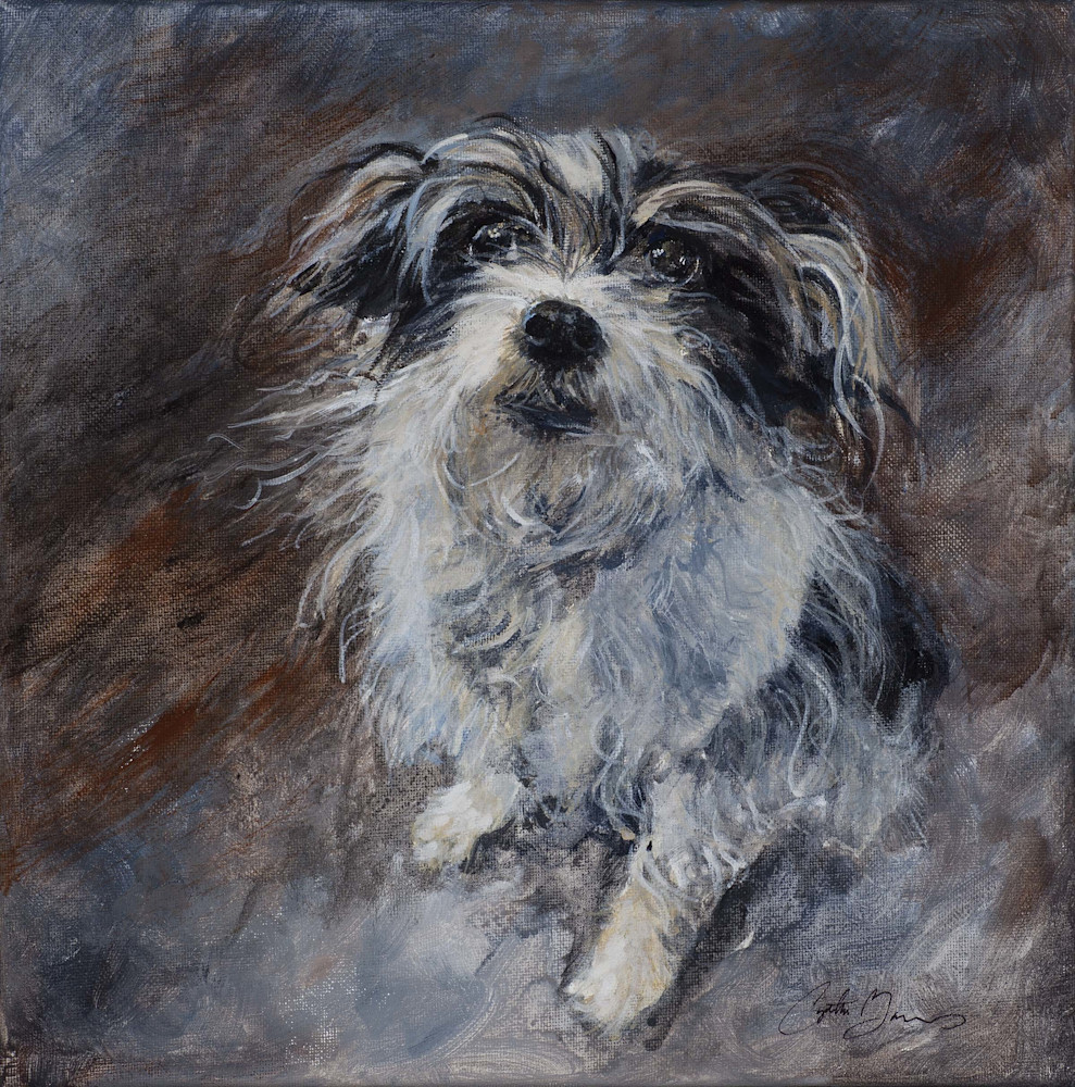 Img 4878 Art | Cynthia Barnes Arts