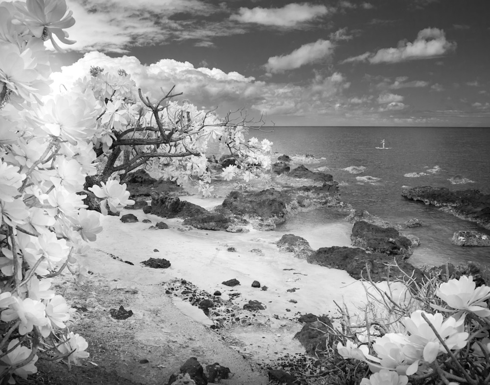 Hawaiian Paradise, Maui Photography Art | World in Black and White