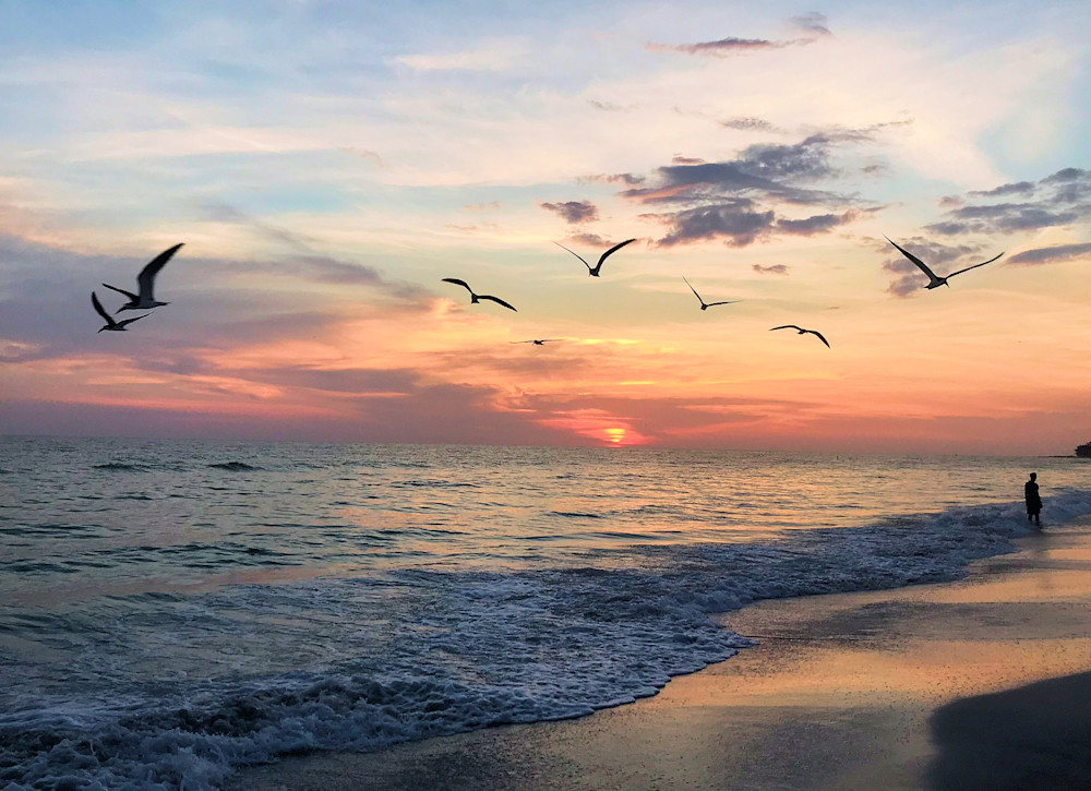 Sunset Dreamingw More Birds Takenw Phone2 Photography Art | PixByNic Photography LLC