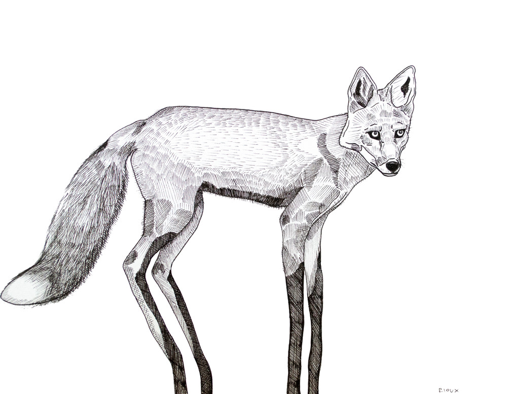 Long Fox Art | Mikey Rioux