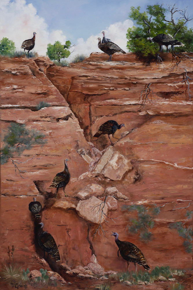 Wild Turkeys On The Rocks Art | Marsha Clements Art