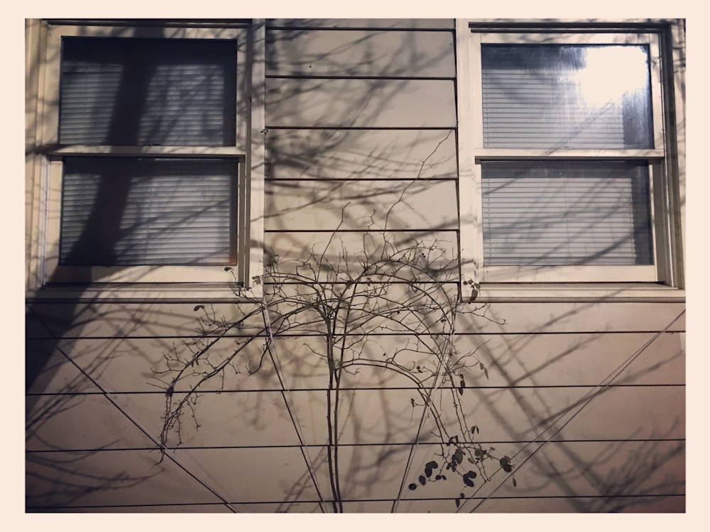 Two Windows Art | Mikey Rioux
