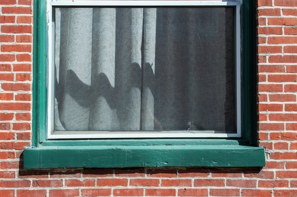 Hbg Green Window Art | Mikey Rioux