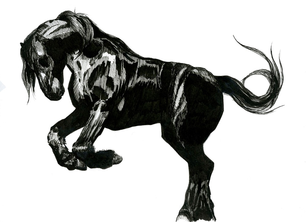 Blackhorse Art | Mikey Rioux