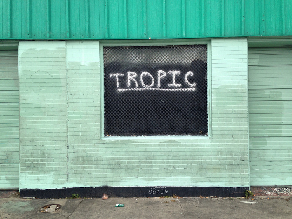 Tropic Art | Mikey Rioux