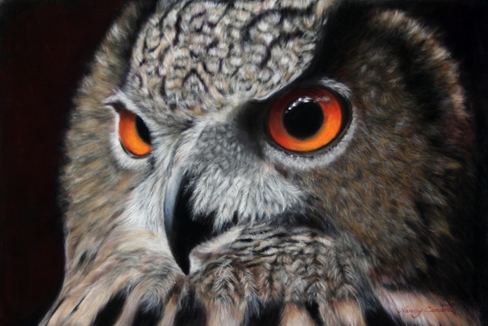 Checkers the Eurasian Eagle Owl by Nancy Conant