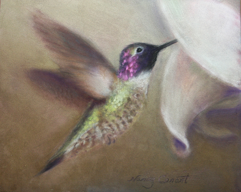 Hummingbird Don't Fly Away by Nancy Conant is hand painted hummingbird art