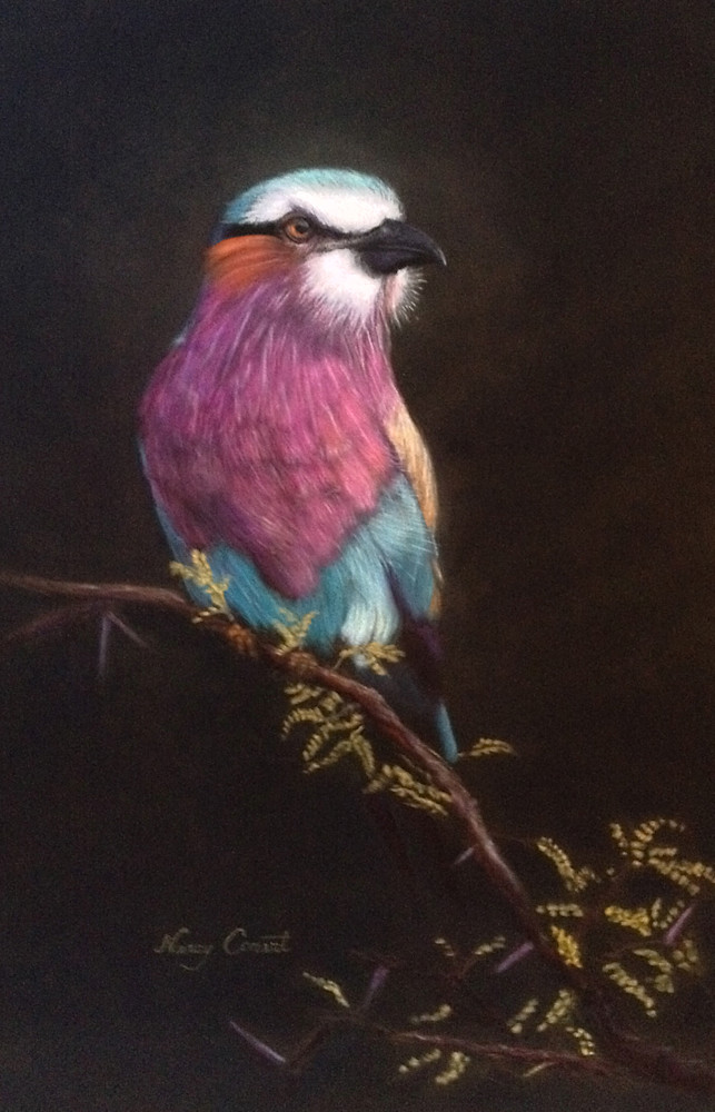 Lilac Breasted Roller by Nancy Conant