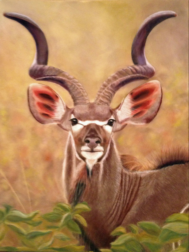 Greater African Kudu is On Alert by Nancy Conant 