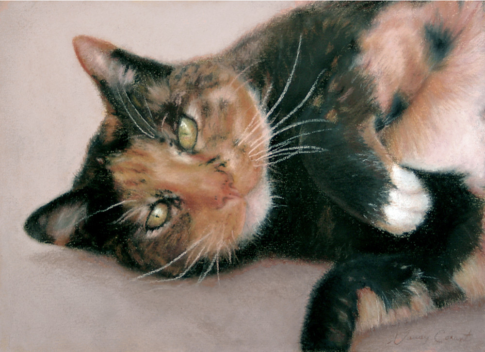 Calico cat, Snickers by Nancy Conant