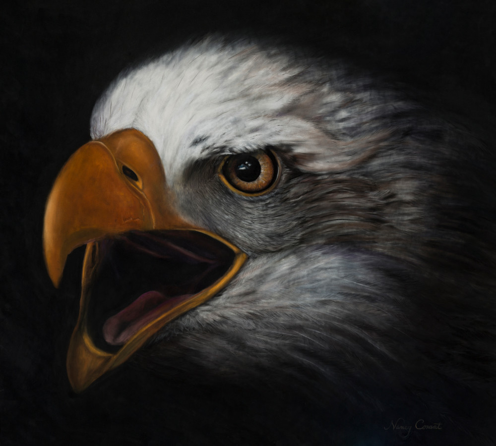 bald eagle painting The Eagle's Cry by Nancy Conant