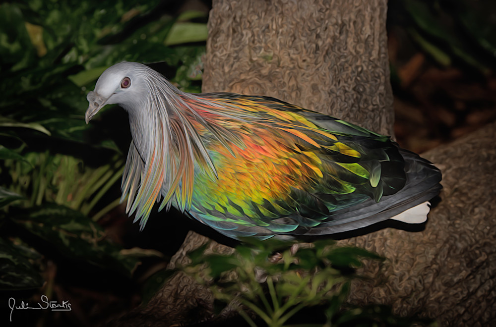 Colorful Bird!   Painted Photography Art | Julian Starks Photography LLC.