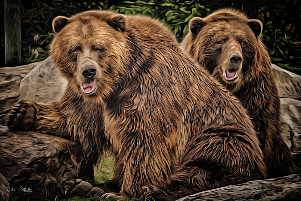 The Brown Bear Brothers!   Painted Photography Art | Julian Starks Photography LLC.