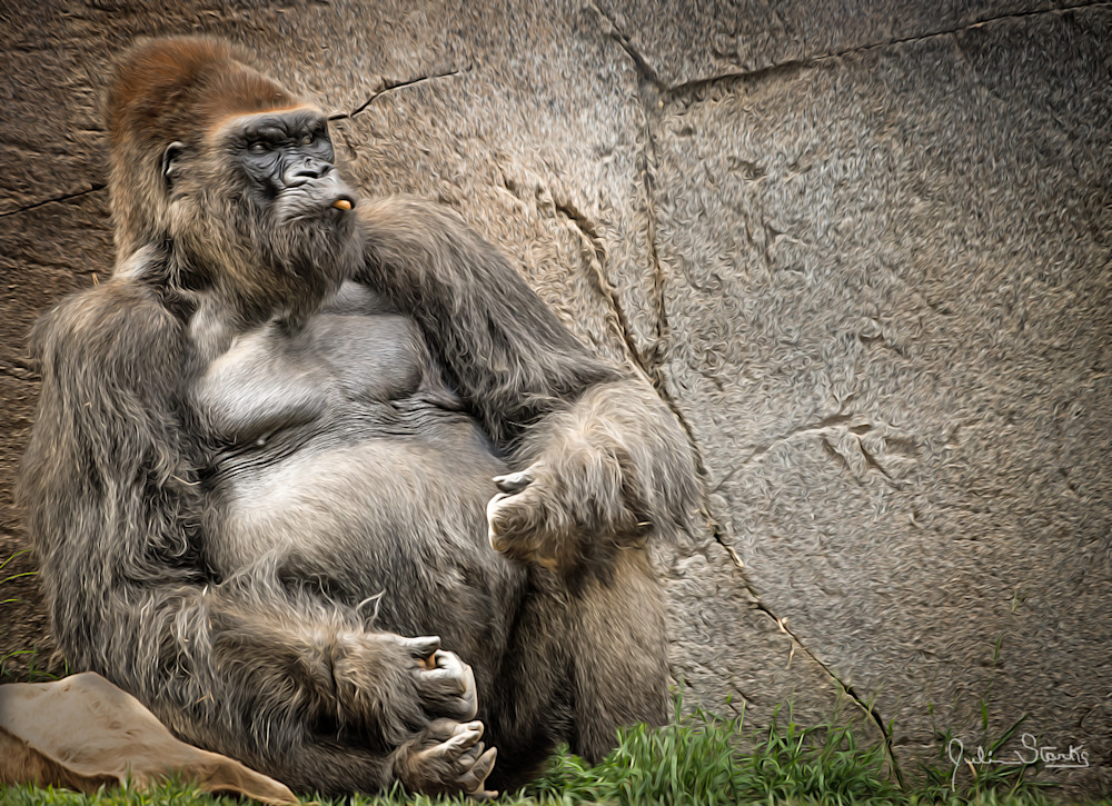 "Big Daddy" Silverback Gorilla   Painted Photography Art | Julian Starks Photography LLC.