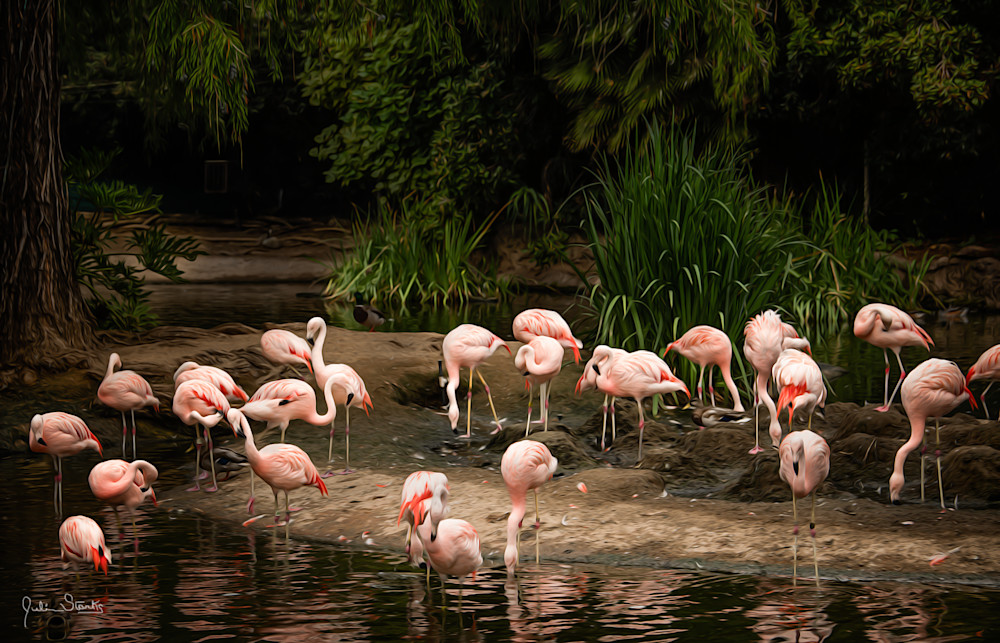 A Flock Of "Flamingos"   Painted Photography Art | Julian Starks Photography LLC.