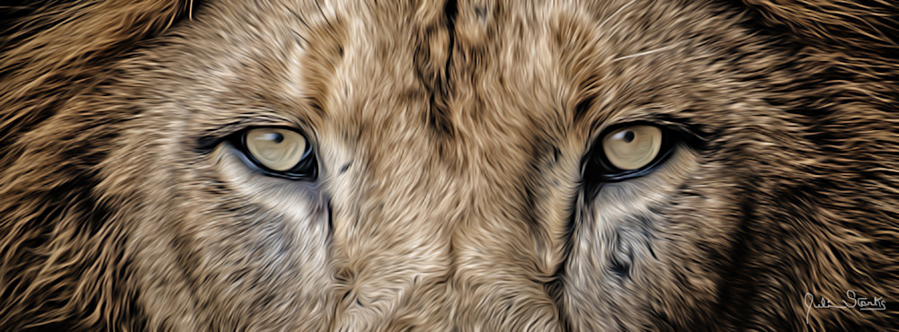 Lion's Eyes Don't Lie  Painted Photography Art | Julian Starks Photography LLC.