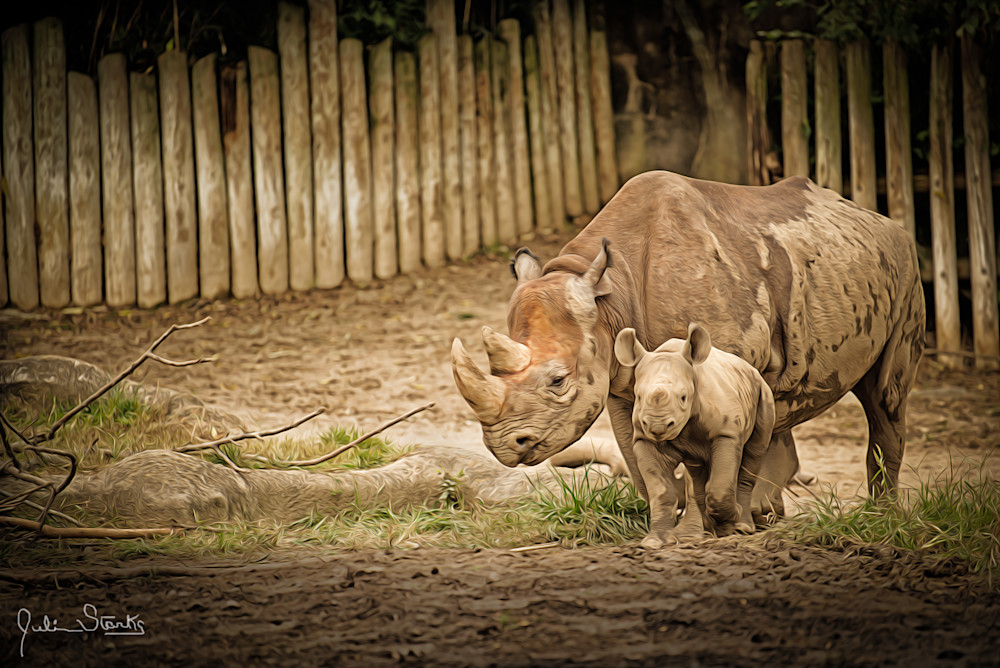 Momma With Baby Rhino!   Painted Photography Art | Julian Starks Photography LLC.