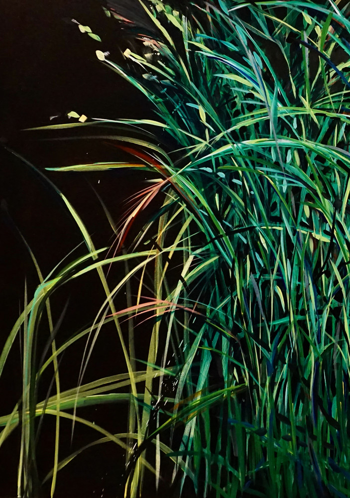 Deep Grass Shadows Art | nancy iannitelli studio