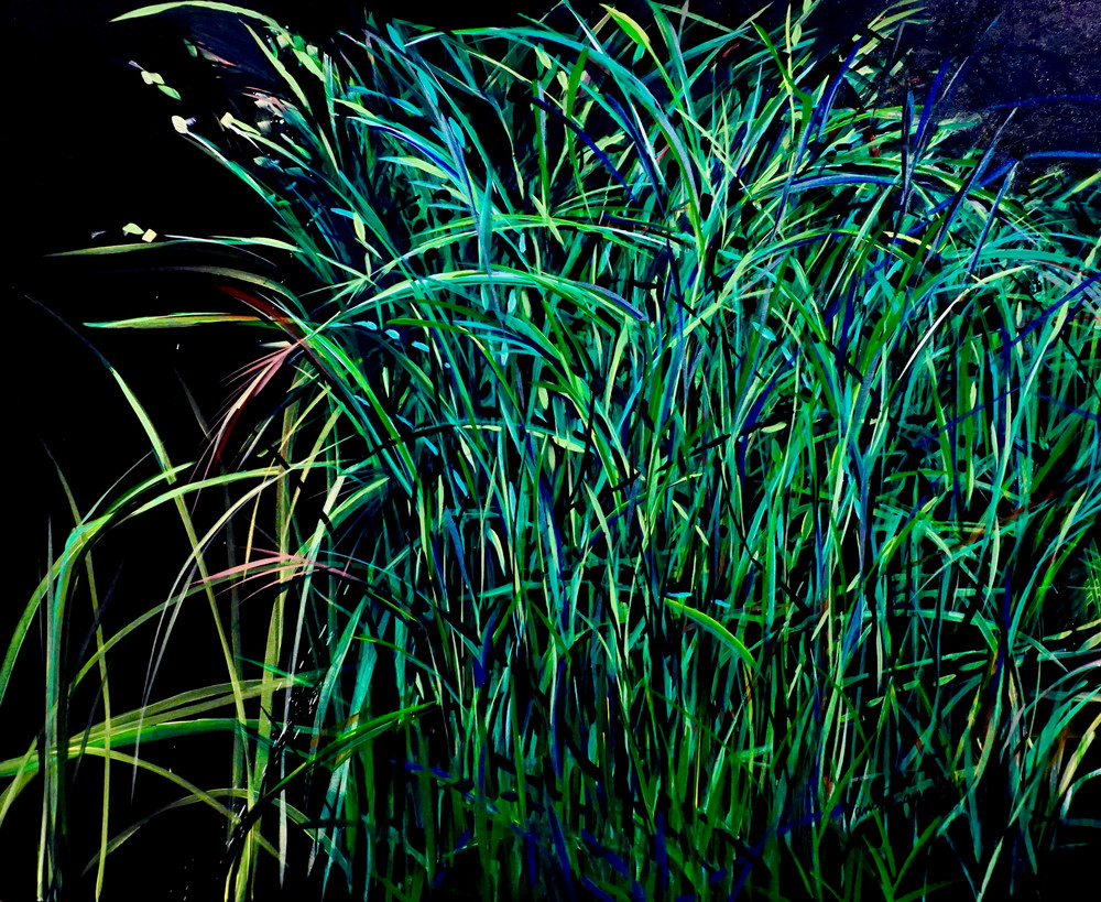 Deep Grass Shadows Full Art | nancy iannitelli studio
