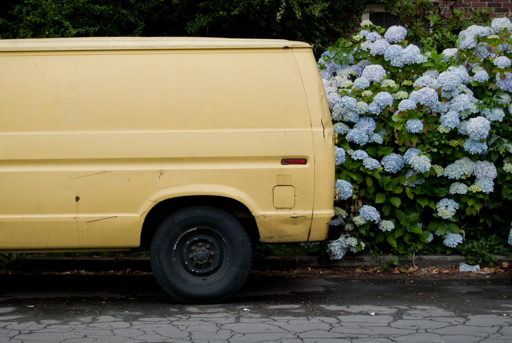 Yellow Van Blue Flowers Art | Mikey Rioux
