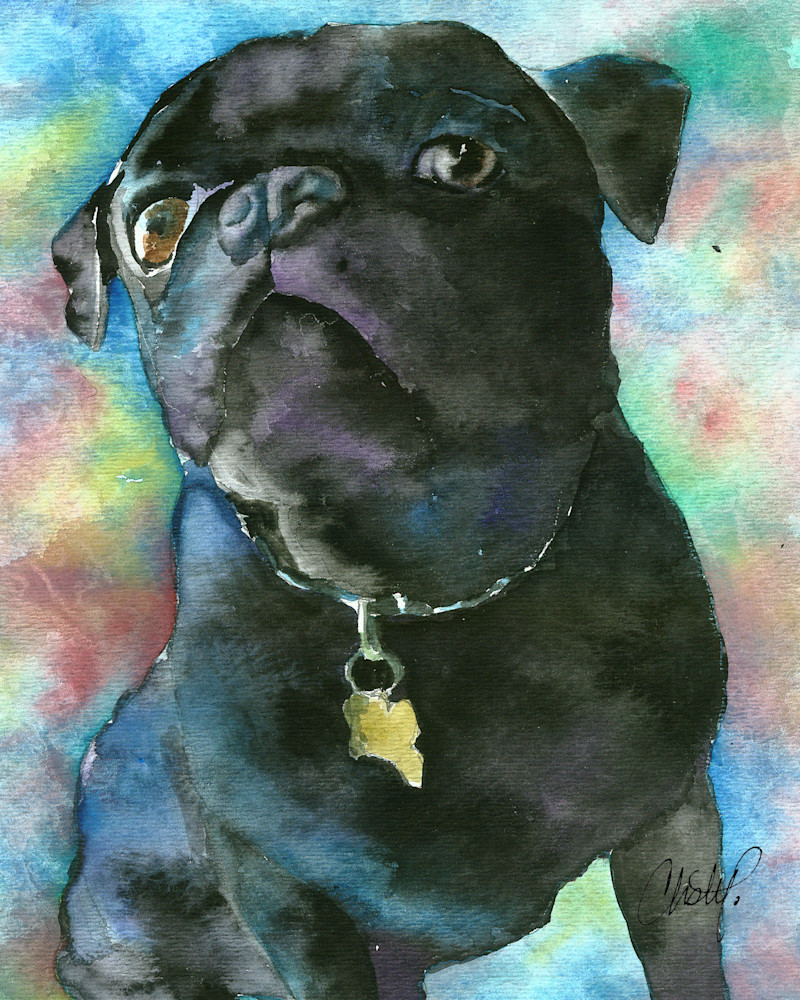 Black Pug Watercolor Pet Portrait Painting
