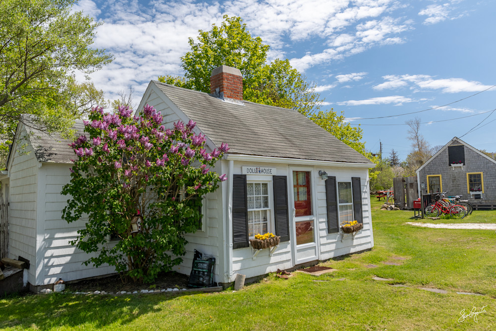the doll house