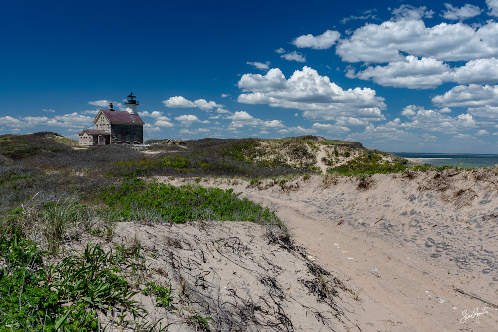 north light 5