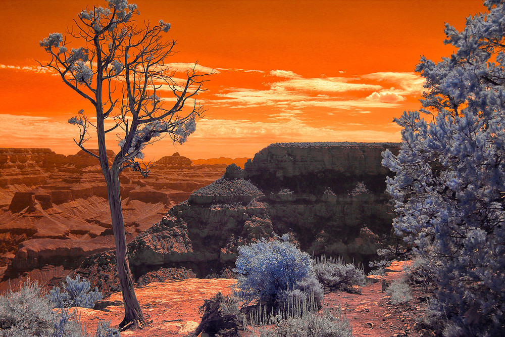 Grand Canyon In Infrared Photography Art | Erich Drazen Fine Art Photography