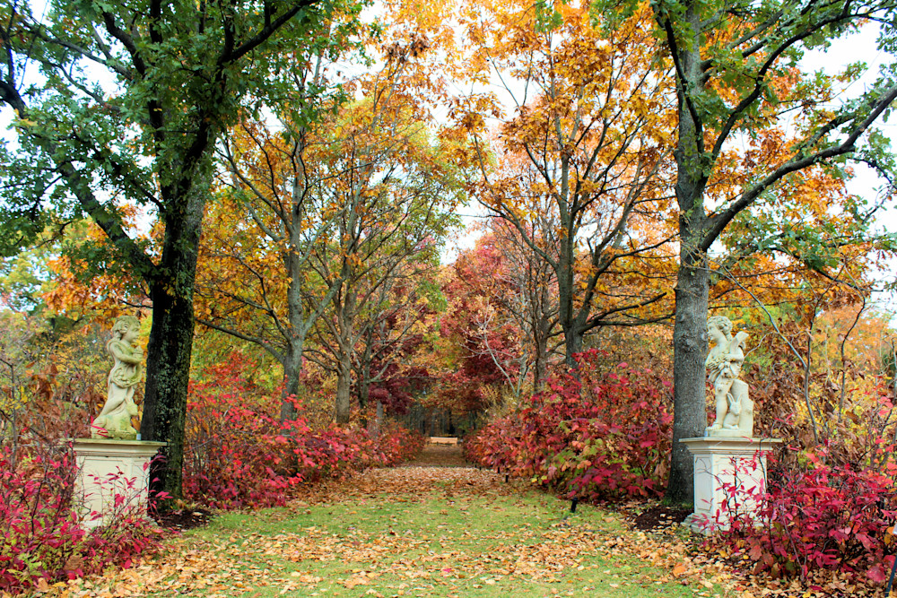 Fall2020 New England Botanical Garden Art2 Photography Art | PixByNic Photography LLC