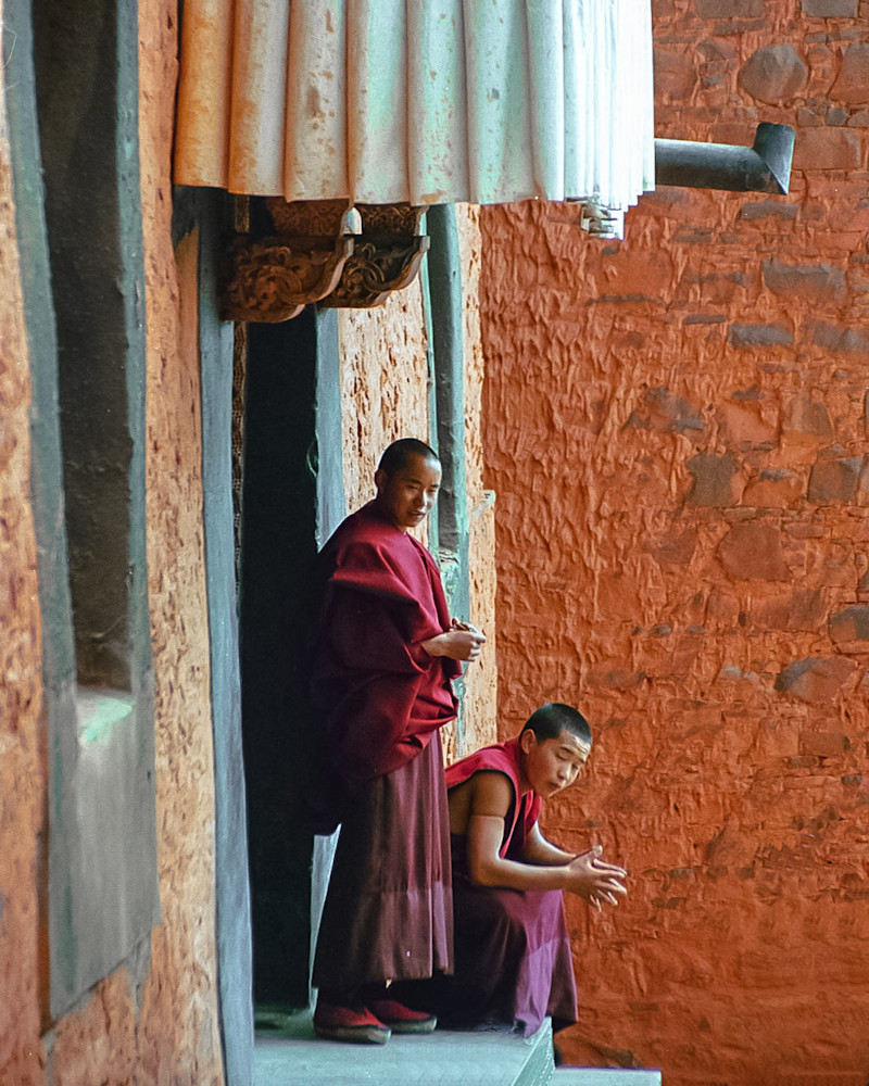 Young Monks   Tibet Photography Art | Press1Photos, LLC