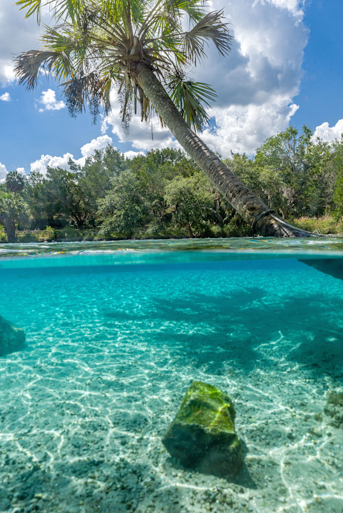 Natural Florida Oasis Photography Art | kramkranphoto