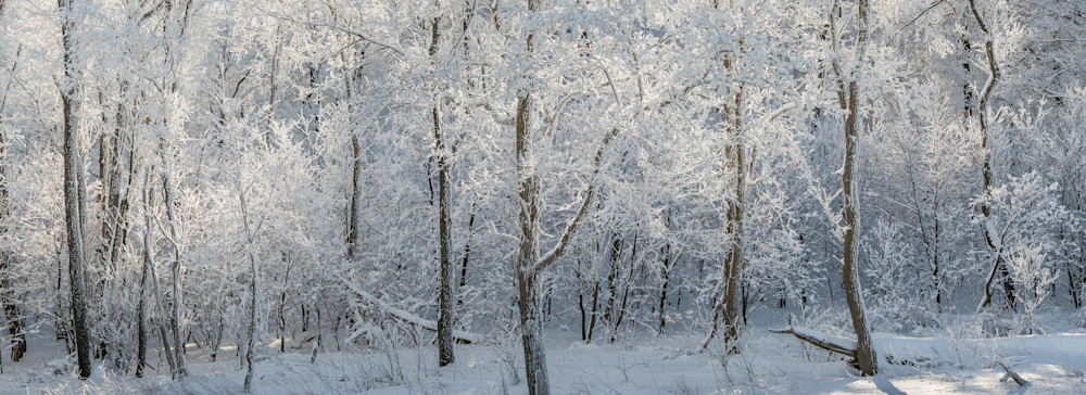 Winter Lace Panorama Photography Art | Press1Photos, LLC