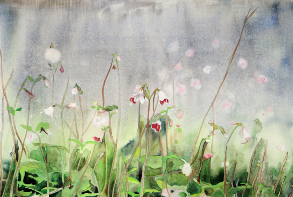 Watercolor painting (giclee print) of Linnea flowers in a field