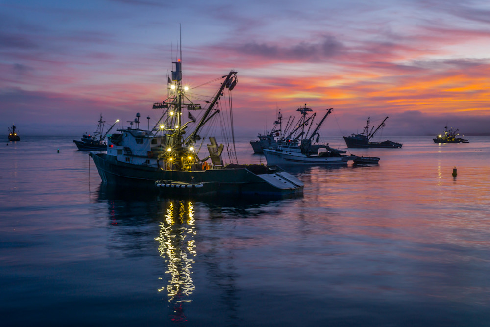 Squid Boats At Dawn Photography Art | Brad Wright Photography