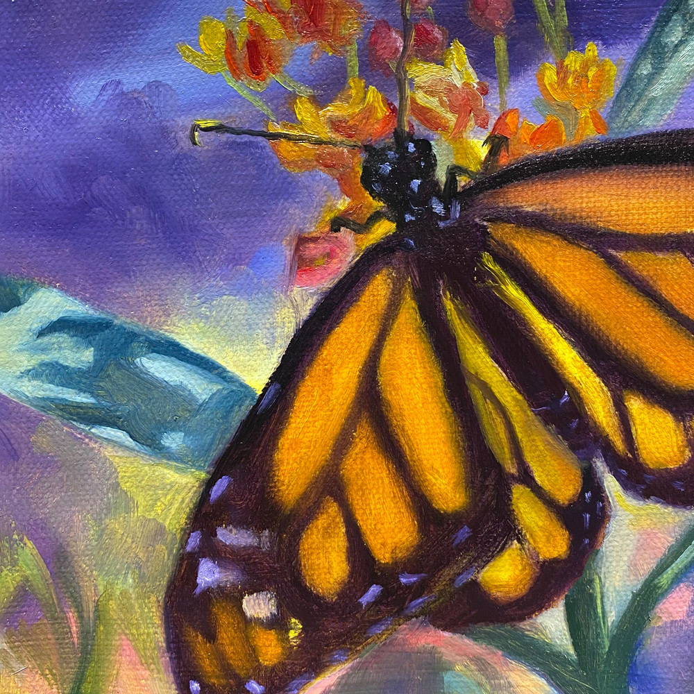 Magnigicent Monarch