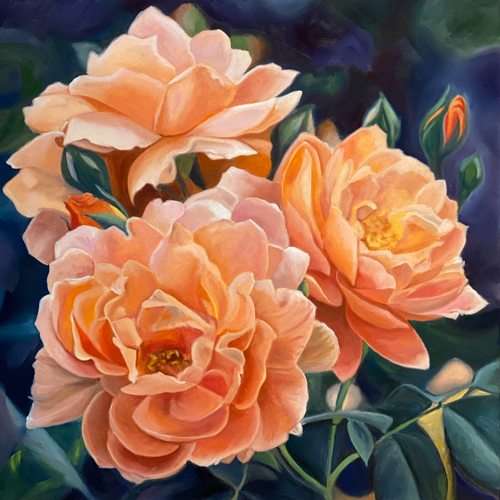 Peach China Roses