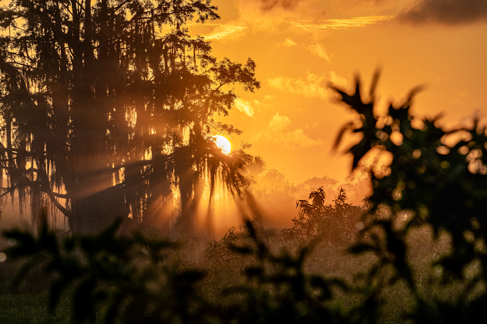 Sunrise Sensation Photography Art | Amber Favorite Photography