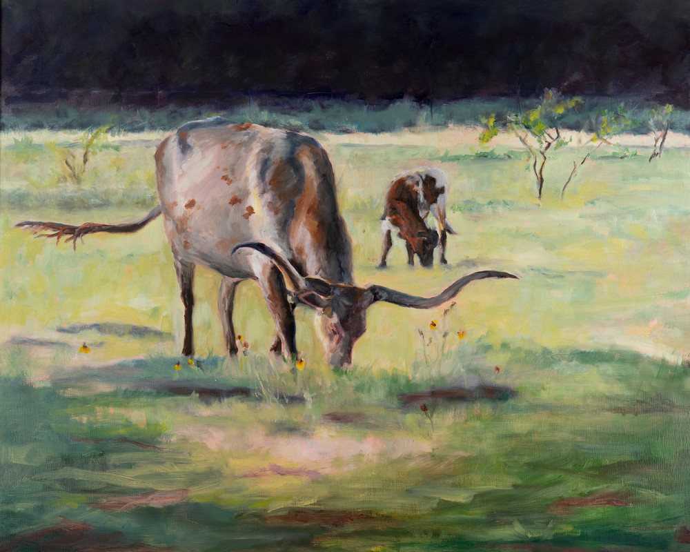 Texas Longhorns 
