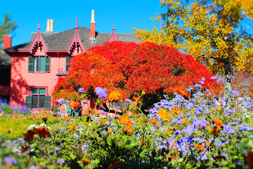 New England Fall Color Cottagew Flower Art1 Photography Art | PixByNic Photography LLC