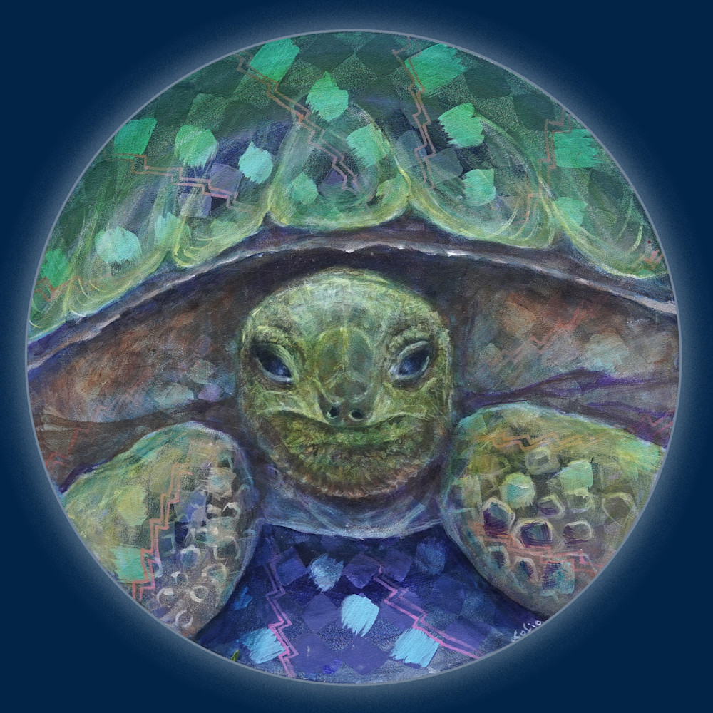 Turtle Gaze Art | Studio SpaceTime