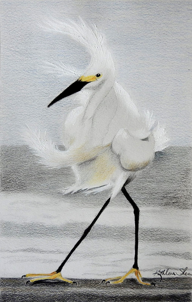  Stormy Egret Art | Kathleen Slaven Art