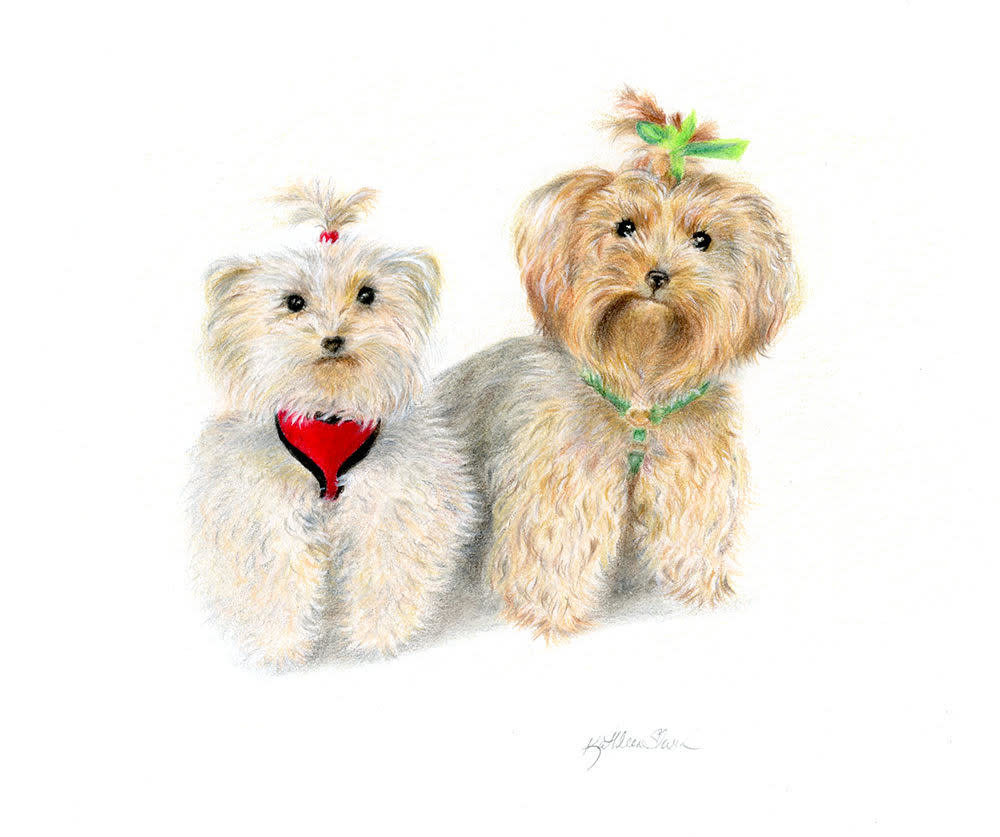 Yorkshire Terriers  Art | Kathleen Slaven Art