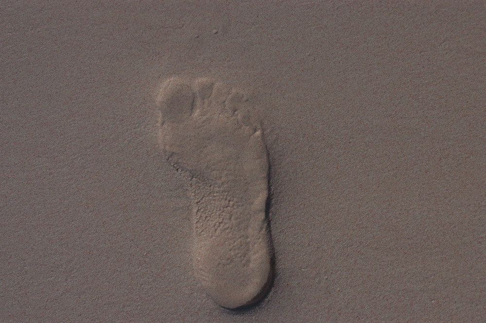 Footprint In The Pink Sand   Harbour Island Photography Art | Press1Photos, LLC
