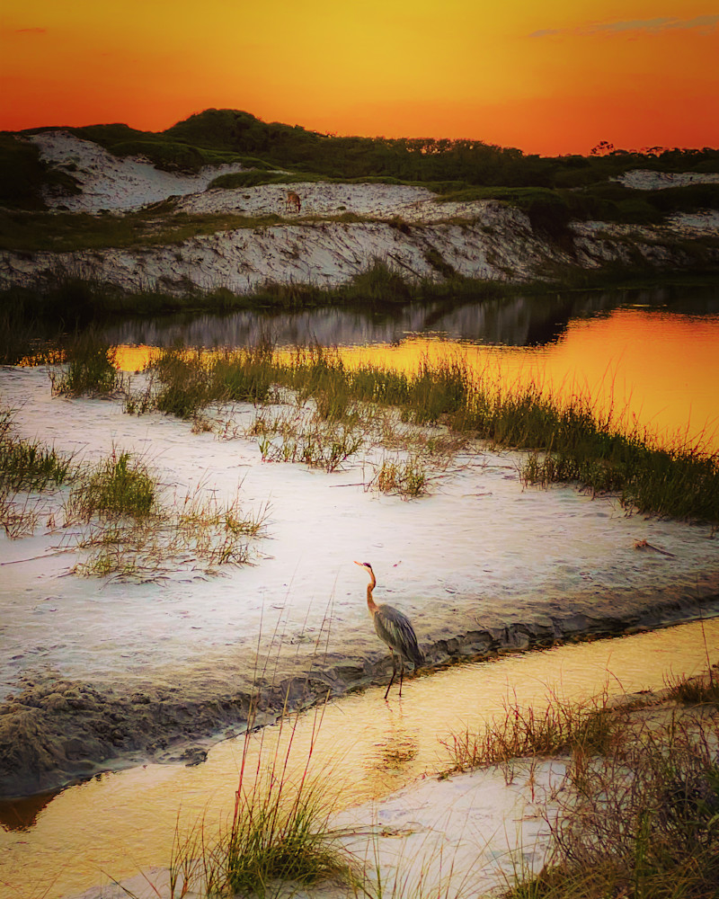 Sunset At The Dunes Photography Art | Teri K. Miller Photography