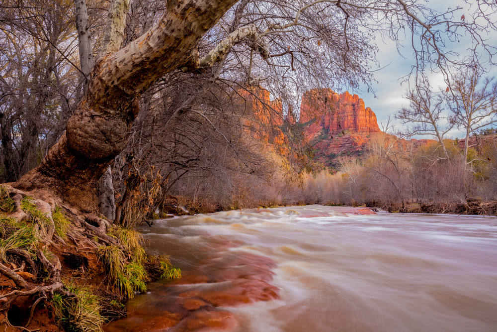 Oak Creek and Cathedral Rock - Arizona Landscape Photography - Thomas Watkins Fine Art