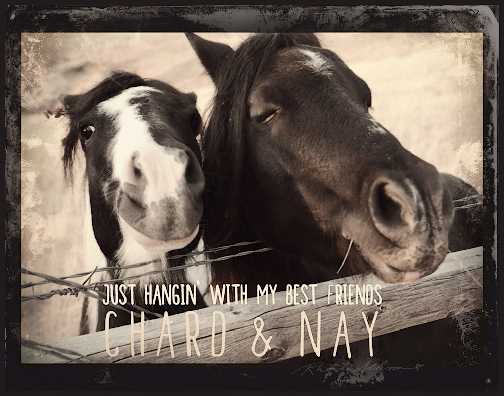 Chard & Nay Horses Art