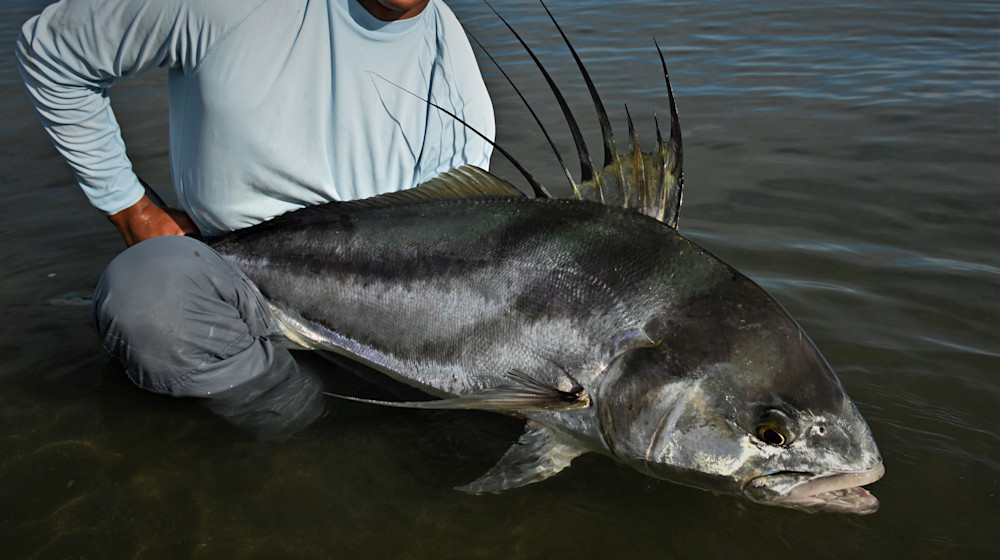 Tosh With Rooster Close Up Photography Art | Fly Fishing Portraits